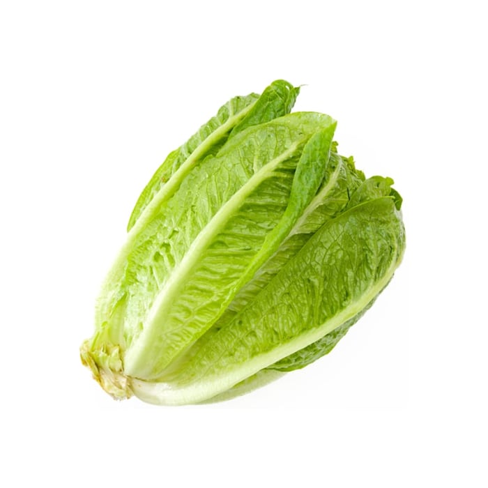 Lettuce Romaine