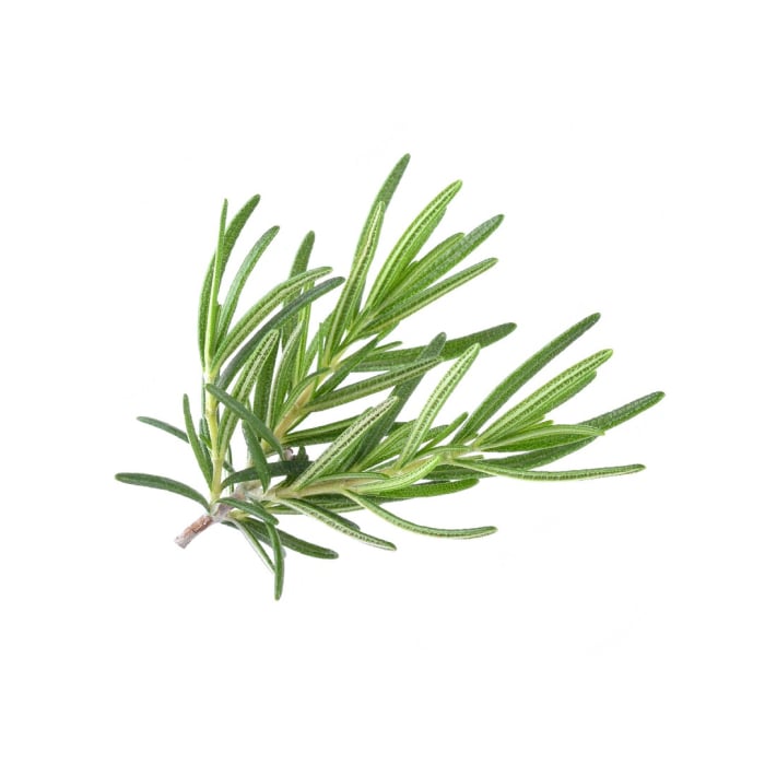 Rosemary, Fresh