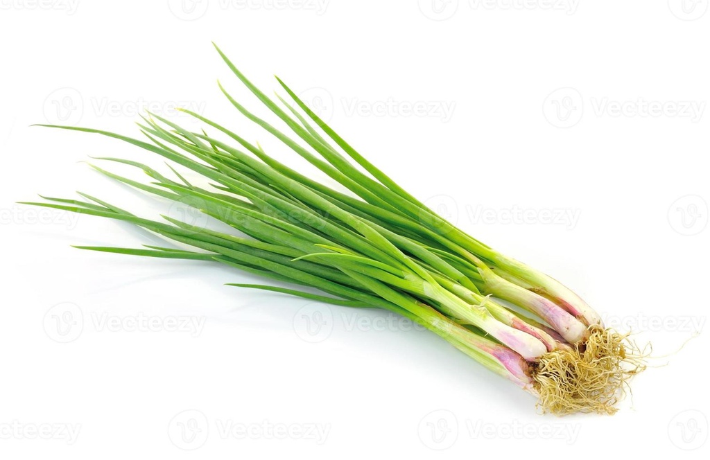 Onion Spring