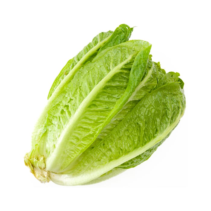 Lettuce - Romaine