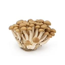 Mushroom Shimeji